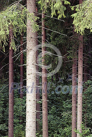 Business & Work Stock Photo Subscription Business & Work Stock Photo Subscription