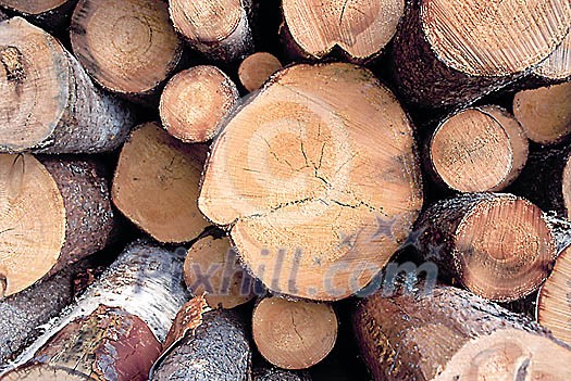 Business & Work Stock Photo Subscription Business & Work Stock Photo Subscription