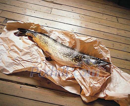 Food Stock Photo Subscription Food Stock Photo Subscription