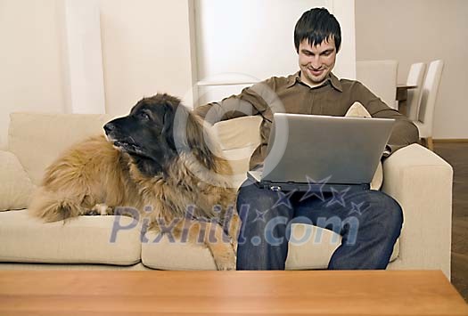 Man sitting on the couch with a dog, looking at the laptop