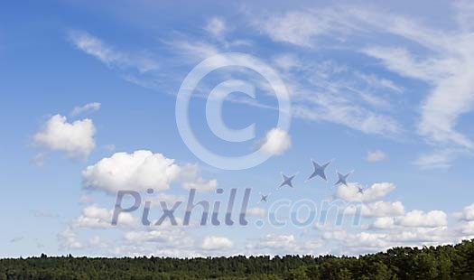 Sunny forest and blue sky Sunny forest and blue sky