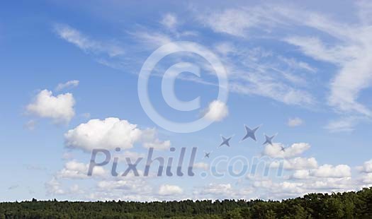 Sunny forest and blue sky