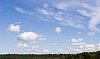 Sunny forest and blue sky