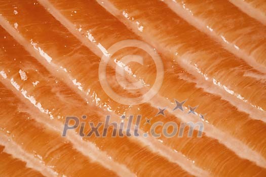 Fish meat closeup Fish meat closeup