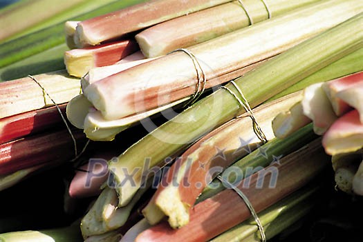 Food Stock Photo Subscription Food Stock Photo Subscription