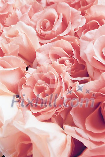 Background Stock Photos Subscription Background Stock Photos Subscription