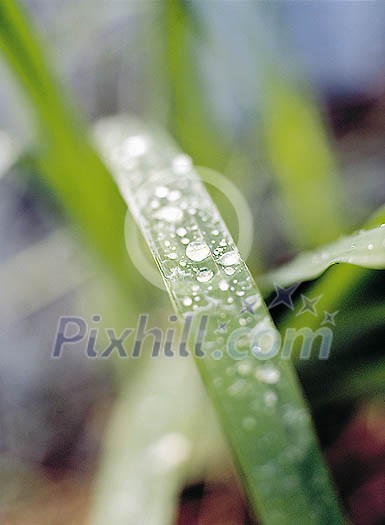 Background Stock Photos Subscription Background Stock Photos Subscription