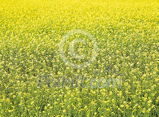 Background Stock Photos Subscription Background Stock Photos Subscription