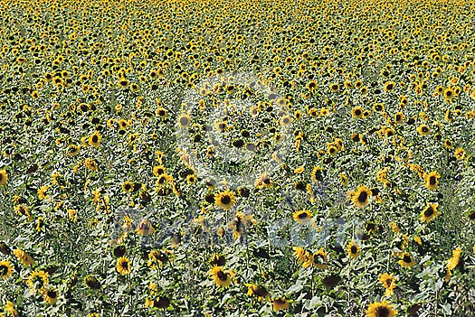 Background Stock Photos Subscription Background Stock Photos Subscription