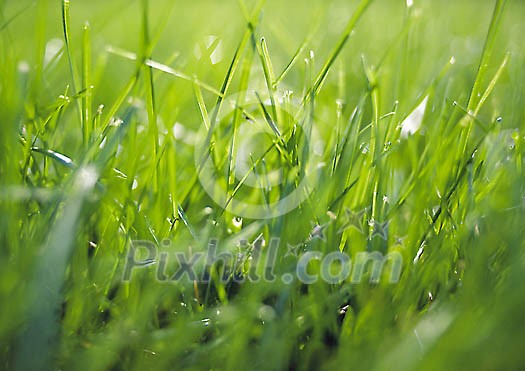 Background Stock Photos Subscription Background Stock Photos Subscription