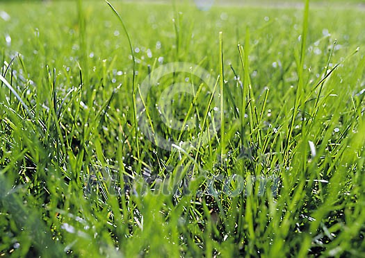 Background Stock Photos Subscription Background Stock Photos Subscription