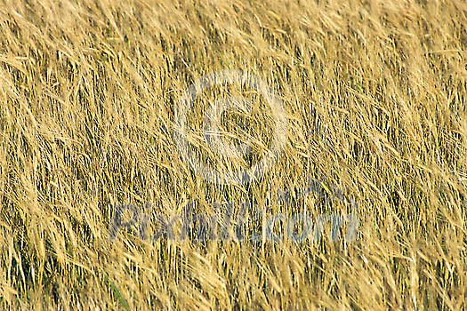Background Stock Photos Subscription Background Stock Photos Subscription