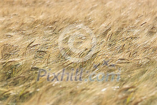 Background Stock Photos Subscription Background Stock Photos Subscription
