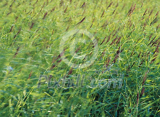 Background Stock Photos Subscription Background Stock Photos Subscription