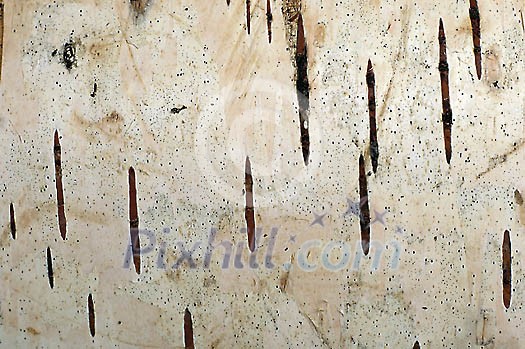 Background Stock Photos Subscription Background Stock Photos Subscription