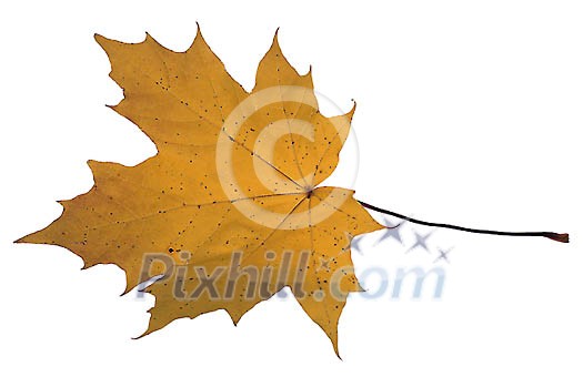 Download Clipped Stock Photos Download Clipped Stock Photos