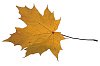 Download Clipped Stock Photos