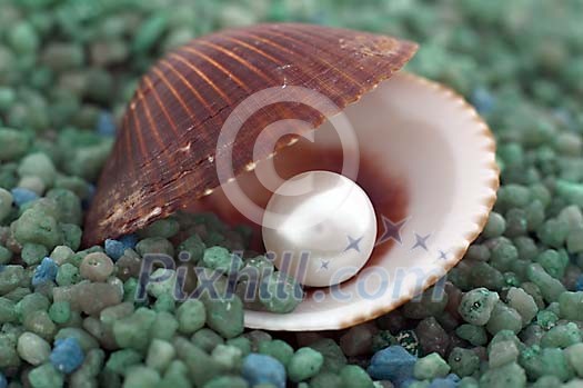 Business & Work Stock Photo Subscription Business & Work Stock Photo Subscription