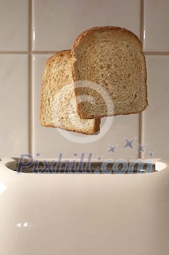 Food Stock Photo Subscription