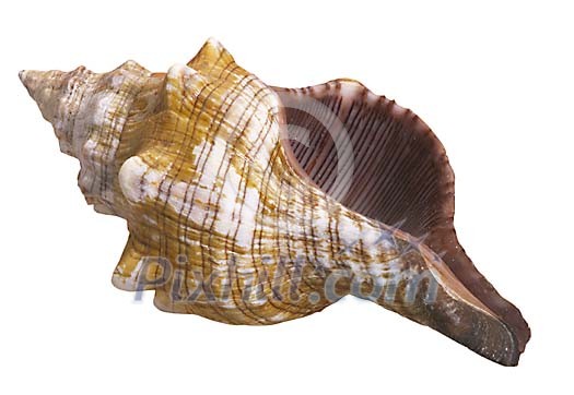 Download Clipped Stock Photos Download Clipped Stock Photos