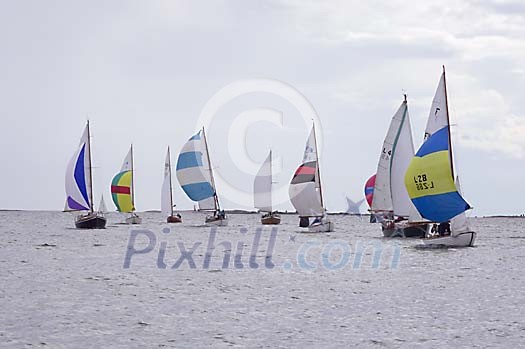 Online Leisure Stock Subscription Online Leisure Stock Subscription