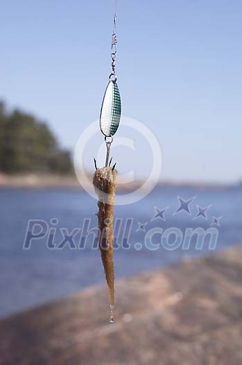 Online Leisure Stock Subscription Online Leisure Stock Subscription