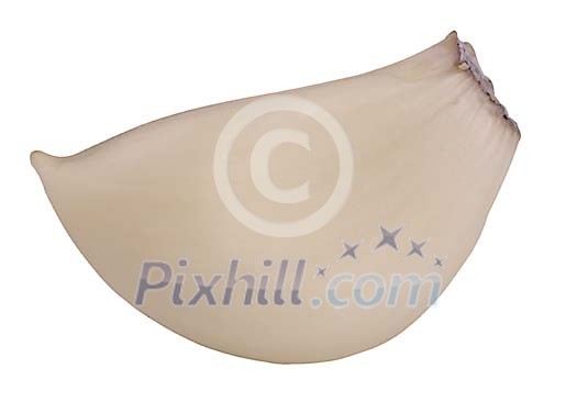 Download Clipped Stock Photos Download Clipped Stock Photos