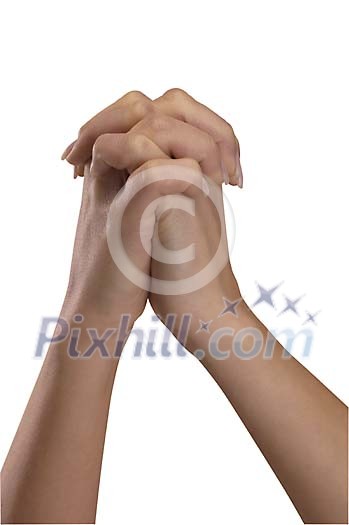 Clipped Stock Images Clipped Stock Images