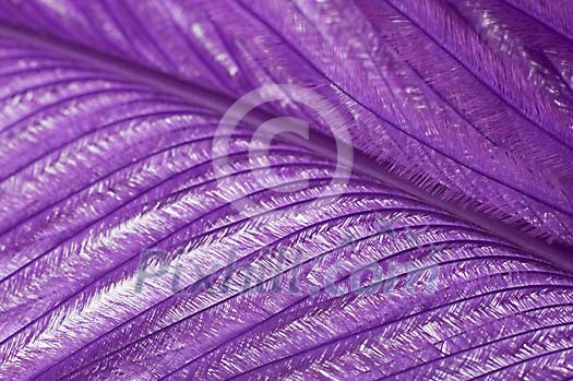 Background Stock Photos Subscription Background Stock Photos Subscription