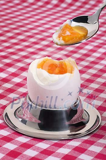 Food Stock Photo Subscription Food Stock Photo Subscription