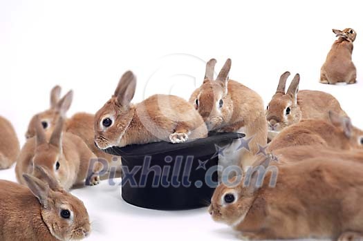 Download Conceptual Stock Images Download Conceptual Stock Images