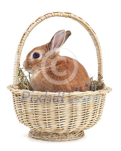 Download Clipped Stock Photos Download Clipped Stock Photos