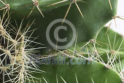 Background Stock Photos Subscription Background Stock Photos Subscription