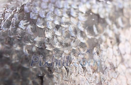 Background Stock Photos Subscription Background Stock Photos Subscription