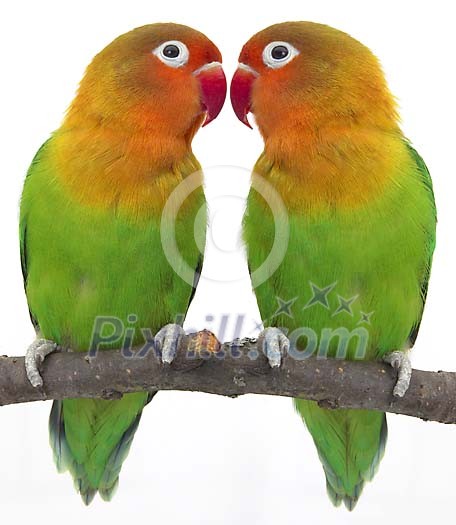 Download Conceptual Stock Images Download Conceptual Stock Images