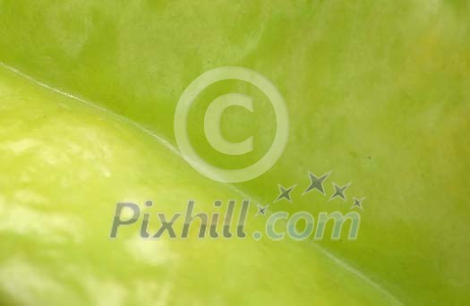 Background Stock Photos Subscription Background Stock Photos Subscription