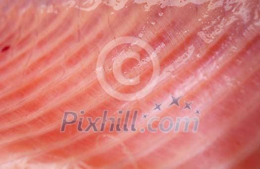 Background Stock Photos Subscription Background Stock Photos Subscription
