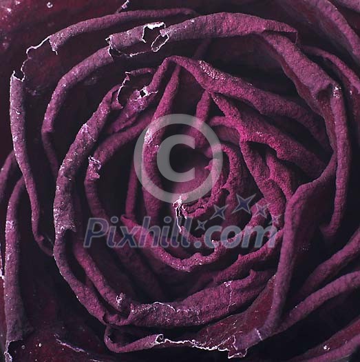Background Stock Photos Subscription Background Stock Photos Subscription