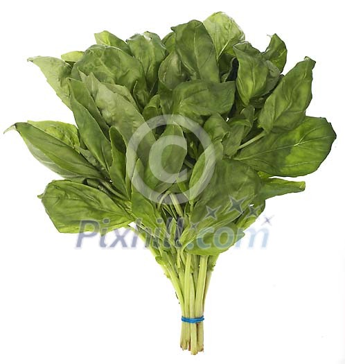 Food Stock Photo Subscription Food Stock Photo Subscription
