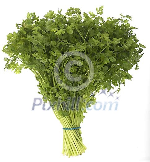 Food Stock Photo Subscription Food Stock Photo Subscription