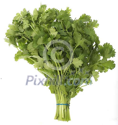 Food Stock Photo Subscription Food Stock Photo Subscription