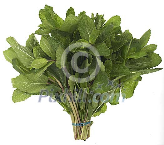Food Stock Photo Subscription Food Stock Photo Subscription
