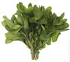 Food Stock Photo Subscription