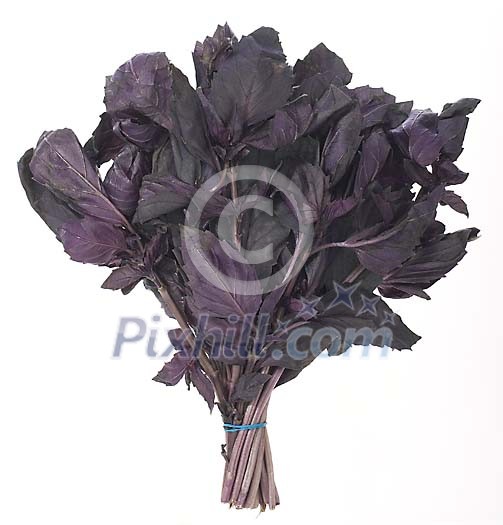 Food Stock Photo Subscription Food Stock Photo Subscription