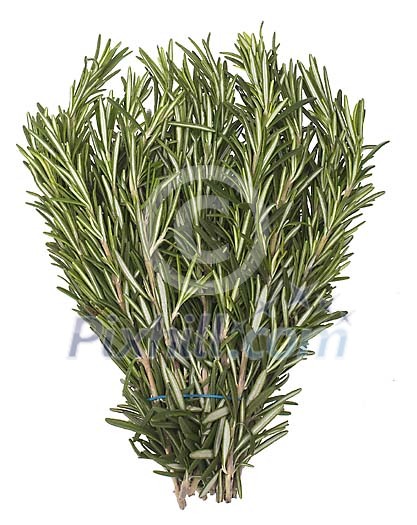 Food Stock Photo Subscription Food Stock Photo Subscription