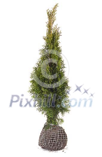 Download Clipped Stock Photos Download Clipped Stock Photos