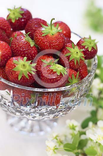 Food Stock Photo Subscription Food Stock Photo Subscription
