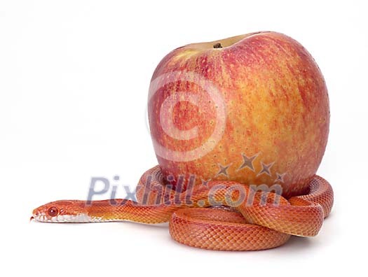 Download Clipped Stock Photos Download Clipped Stock Photos