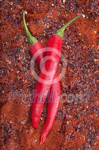 Food Stock Photo Subscription