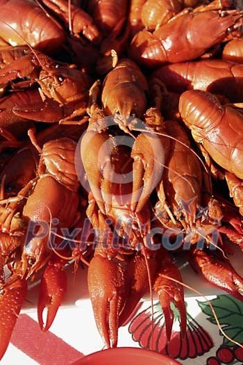 Food Stock Photo Subscription Food Stock Photo Subscription